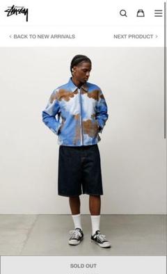 stussy BIG OL' SHORT DENIM w32