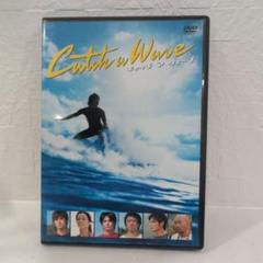 サーフィンDVDコレクション 約30枚 サーフィンDVD ショート TabrigadeFilm タブリゲイデフィルム