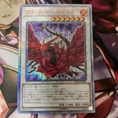 遊戯王 トレカ《 ブラック・ローズ・ドラゴン 》20th
