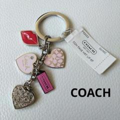 【新品未使用】COACH コーチ キーホルダー キーリング　レア　希少 COACH コーチ 新品 希少タビー バッグ キーホルダー キーリング