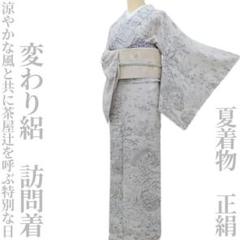 美品 夏着物 正絹 作家物落款 絽“紙吹雪で盛り上がる天の川”訪問