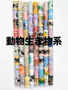 マスキングテープ 切り売り セット(1点限り) 限定1点❣️PETマスキングテープ 特殊印刷 切り売り 詰め合わせ
