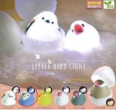 James Smith＆Sonsアニマルヘッドリトルバードブライトレッド