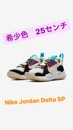 Nike Jordan Delta ジョーダンデルタ 25センチ 1/23値下げ
