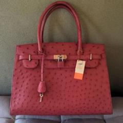 2022年最新】GENUINE OSTRICH LEATHER バッグの人気アイテム - メルカリ