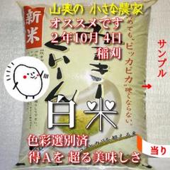 【超希少】ミルキークイーン 新米 特別栽培の玄米5Kg 「標準白米に精米」