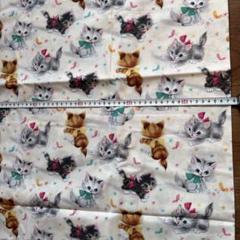 シーチングUSAコットン＊オシャレ猫ちゃんマイケルミラー ねこ110×200