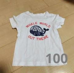 Amazon.co.jp: KUZIRA tシャツ XLサイズ : おもちゃ