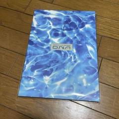 パンフレット　Aぇ! group D.N.A LIVE 2025 DNA