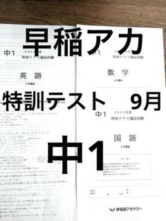 2025年最新】早稲アカ 特訓選抜テストの人気アイテム - メルカリ