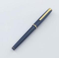 パイロット　エラボー　樹脂軸　SEF nibsカスタム　長原幸夫　調整品　万年筆 パイロットエラボー樹脂軸SEF nibsカスタム長原幸夫調整品万年筆