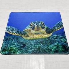 20cm×24cm マウスパッド　亀　カメ　海　防水マウスパッド
