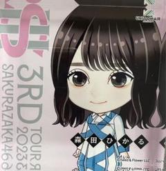 森田ひかる アクリルブロック レア m89270497276_1.jpg?1685968663