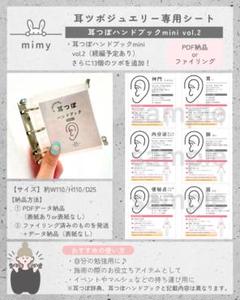 B4：耳つぼ学ぶ ジュエリー必須解説DVD+プリントset