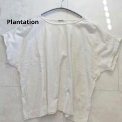 Plantation しわ加工カットソー イッセイミヤケ - メルカリ