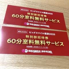 2025年最新】ビックエコー 福袋の人気アイテム - メルカリ 2025年最新】ビックエコー 福袋の人気アイテム - メルカリ