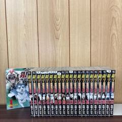 銀牙ラストウォー 全巻セット 22巻+30巻+5巻