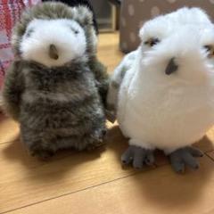 ハリーポッタースタジオツアー　ヘドウィッグ　ピッグヴィジョンフクロウのぬいぐるみ