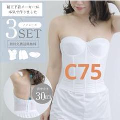 2025年最新】ブライダルインナーセット c75の人気アイテム