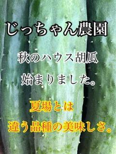 宅急便コンパクト 胡瓜 キュウリ きゅうり 新鮮野菜 農家直送