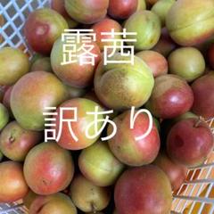 和歌山県紀南産　訳あり露茜5㎏ ✖️4箱　大玉 和歌山県紀南産 訳あり露茜5㎏ ✖️4箱 大玉 - メルカリ