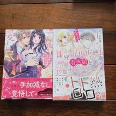 TLコミック 女性漫画 2冊セット