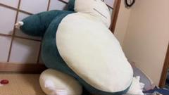 2025年最新】カビゴン 巨大ぬいぐるみの人気アイテム - メルカリ