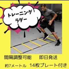 【新品未使用】トレーニングラダー 7m 14枚プレート付き