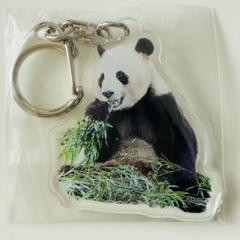 アドベンチャーワールド　彩浜 ミニアルバム　アクリルチャーム付き 楓浜 ミニアルバム アクリルチャーム付き アドベンチャー