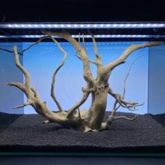 MDW-5578 特大ブランチウッド2本セット　流木　枝流木　アクアリウム MDW-6578 ブランチウッド 流木 枝流木 アクアリウム - メルカリ
