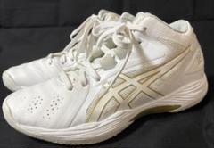 ASICS GELHOOP バスケットボールシューズ22.5cm