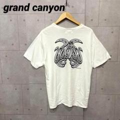 grand canyon グランドキャニオン　グラフィックプリント Tシャツ 白