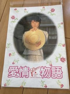 愛情物語 原田知世 映画パンフレット