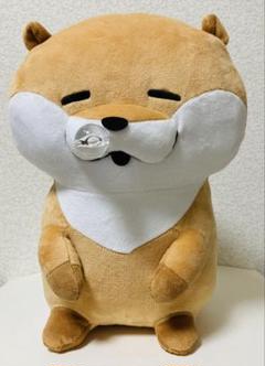 可愛い嘘のカワウソ　鼻かぜぇ　BIGぬいぐるみ　タグ付き