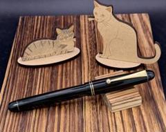 Pilot 万年筆 CUSTOM67 後期型 14K C コース Amazon.com : PILOT