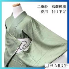 二重紗　付け下げ　菖蒲模様　夏用　グリーン系　着物　042w p