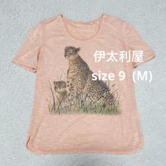 伊太利屋　レオパード   ヒョウ柄　ロゴ　ラインストーン　サングラス　未使用 伊太利屋 イタリヤ ヒョウ柄 レオパード ラインストーン Tシャツ