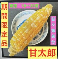 【さのみ】静岡県　遠州森町　甘々娘8本　本日朝採り　即日発送 5L＆4L タイムセールお買得品】先着順 静岡県 遠州森町 甘太郎3本 本日