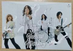 THE YELLOW MONKEY イエローモンキーファンクラブ限定年賀状