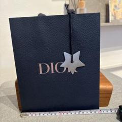 micho47　DIOR ディオール　ストール大判新品未使用箱紙袋チャーム クリスチャン・ディオール「Christian Dior」ミニショッパー 2枚