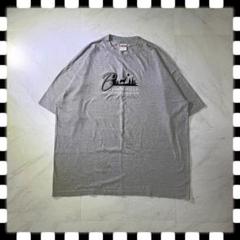 intex Tシャツ 刺繍 デザイン 動物 BLACK HILLS グレー