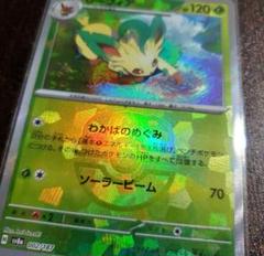 ブイズ マスボミラー 3枚 まとめ売り グレイシア エーフィ リーフィア ブイズ マスボミラー 3枚 まとめ売り グレイシア エーフィ