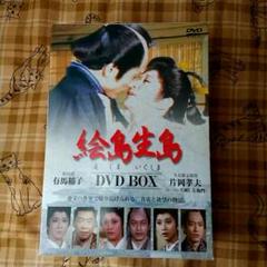 絵島生島 DVD-BOX〈4枚組〉 Amazon.co.jp: 絵島生島 DVD-BOX〈4枚組〉 : パソコン・周辺機器