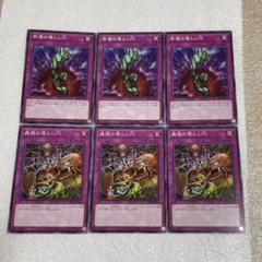 遊戯王OCG 蟲惑魔の森 精霊術の使い手 3箱 遊戯王 蟲惑魔の森 精霊術の使い手 決闘者伝説 ストラク 東京