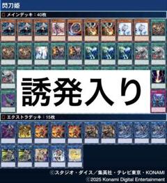 遊戯王 閃刀姫 高レアリティ デッキ EX,サイド完備