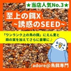 【ゆの】ワンランク上の鳥の餌10kg 黒瀬ペットフード とれたてMOGUMOGUらんど 小鳥のエサ ムキエサ