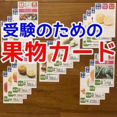 【未使用⁄書き込み消し済】早稲田アカデミー スーパーキッズコース 小1 セット 未使用⁄書き込み消し済】早稲田アカデミー スーパーキッズコース