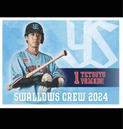 超貴重！　ヤクルトスワローズ　後援会　昭和　レジャーシート 超貴重！ ヤクルトスワローズ 後援会 昭和 レジャーシート