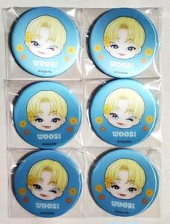 SEVENTEEN まじかる百貨店 缶バッジ ウジ 6点セット - メルカリ