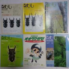 2025年最新】月刊むし オオクワガタの人気アイテム - メルカリ